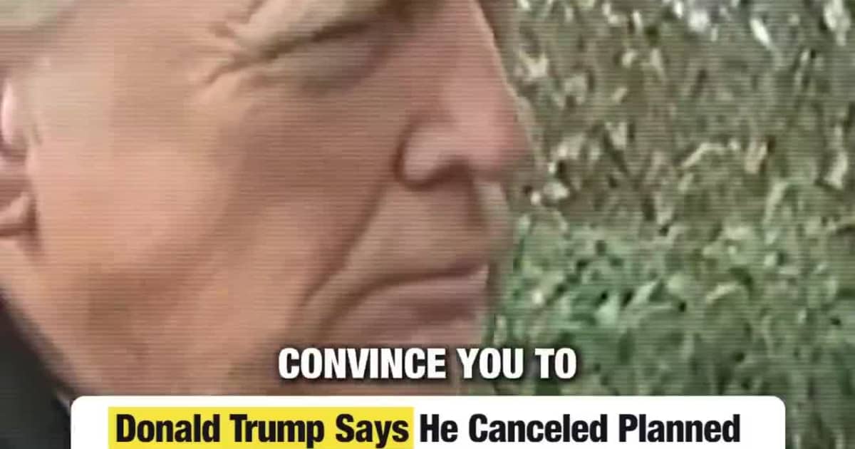 Donald Trump Says He Canceled Planned Strikes on Iran After Executions Were Halted