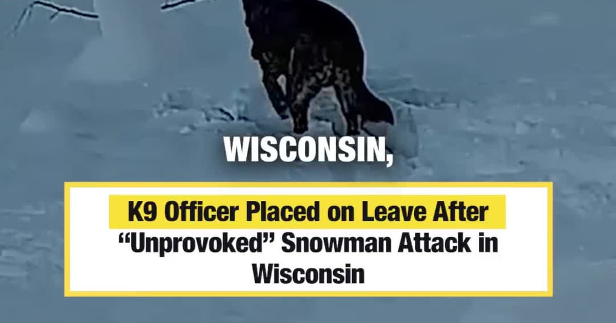K9 Officer Placed on Leave After “Unprovoked” Snowman Attack in Wisconsin