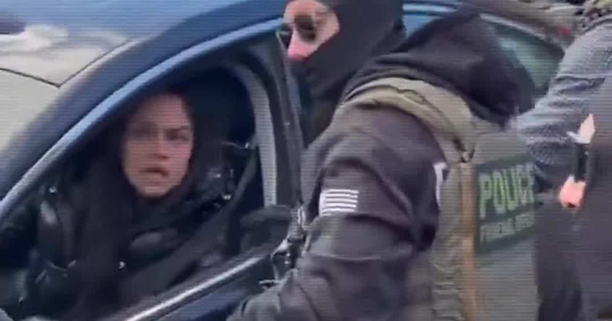 Minneapolis Incident: Woman Removed from Vehicle While Federal Enforcement Operation Continues