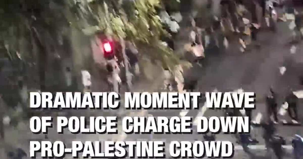 Dramatic Moment Wave of Police Charge Down Pro-Palestine Crowd