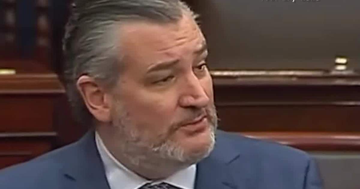 Ted Cruz: You Need ID for College, Banking — Even Shoveling Snow in NYC