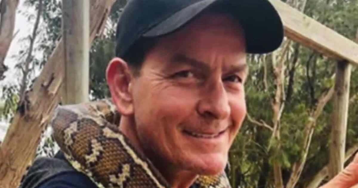 Charlie Sheen Hit With $15M Child Support Demand