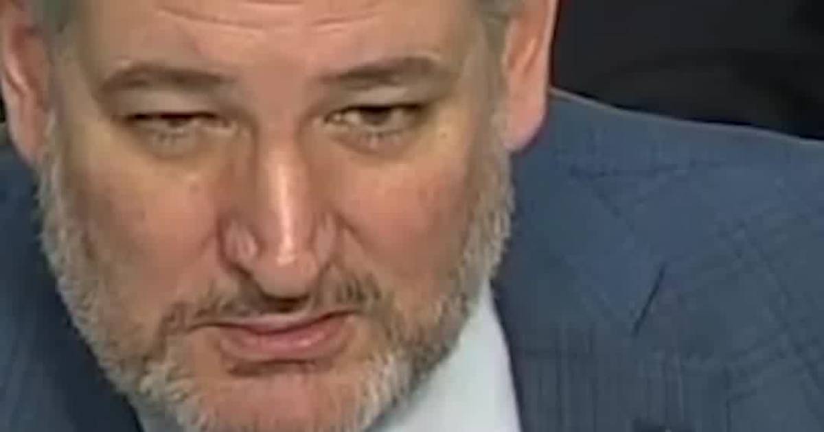 Sen. Ted Cruz Challenges Democrats Over FBI Abuse Claims: “Not One Will Speak Out?”