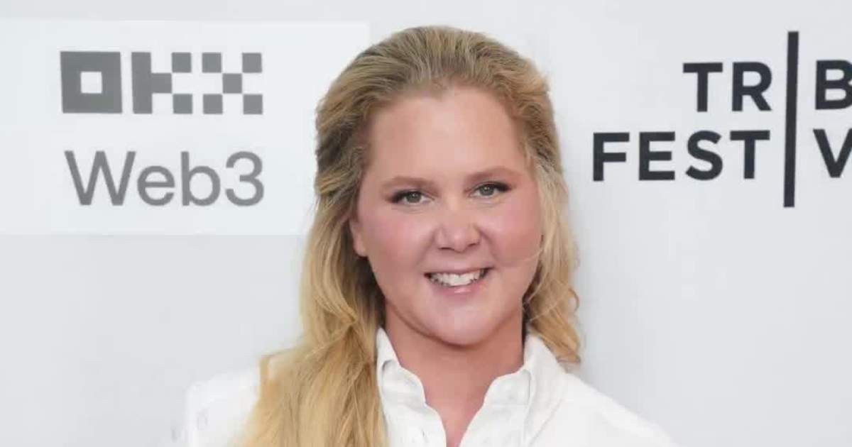 Amy Schumer Still Living With Husband After Divorce Announcement