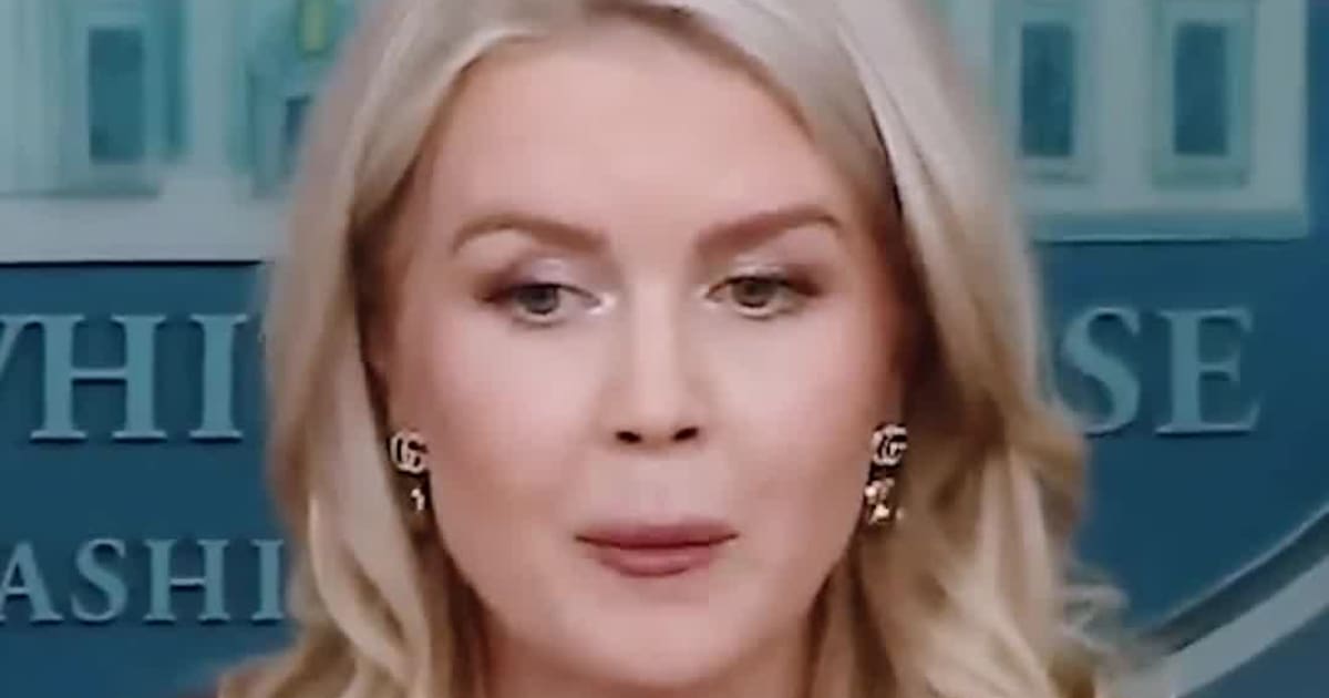 Karoline Leavitt Turns Epstein Question Back on Democrats