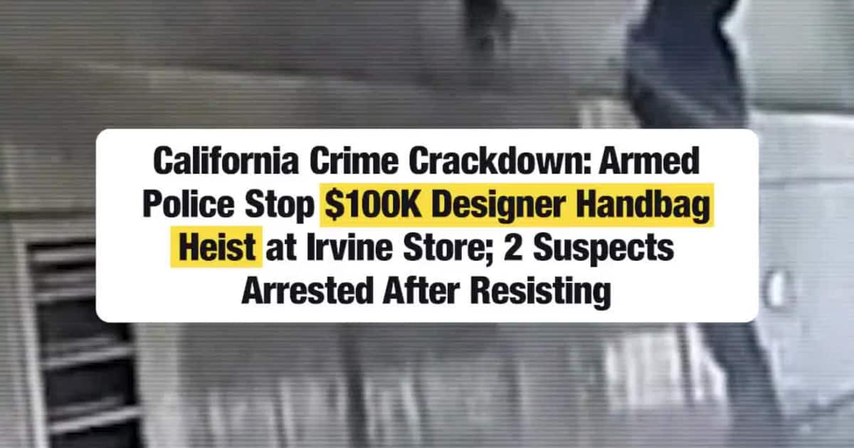 California Crime Crackdown: Armed Police Stop $100K Designer Handbag Heist at Irvine Store; 2 Suspects Arrested After Resisting