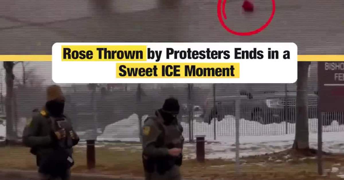 Rose Thrown by Protesters Ends in a Sweet ICE Moment