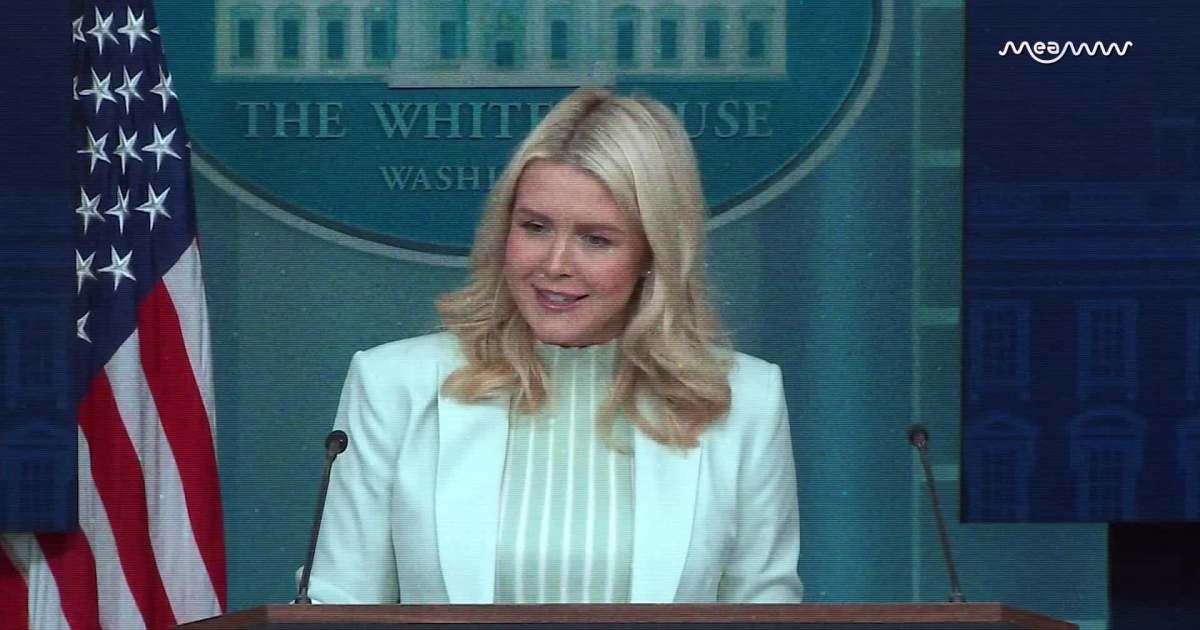 Leavitt Blasts "Disgraceful" Calls to Arrest ICE Agents at U.S. Airports