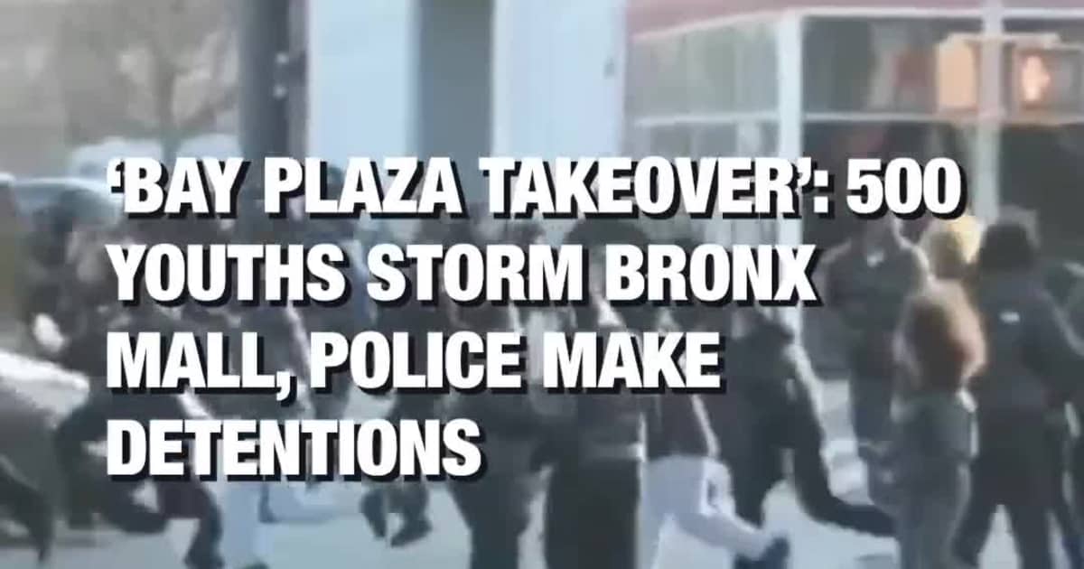 ‘Bay Plaza Takeover’: 500 Youths Storm Bronx Mall, Police Make Detentions