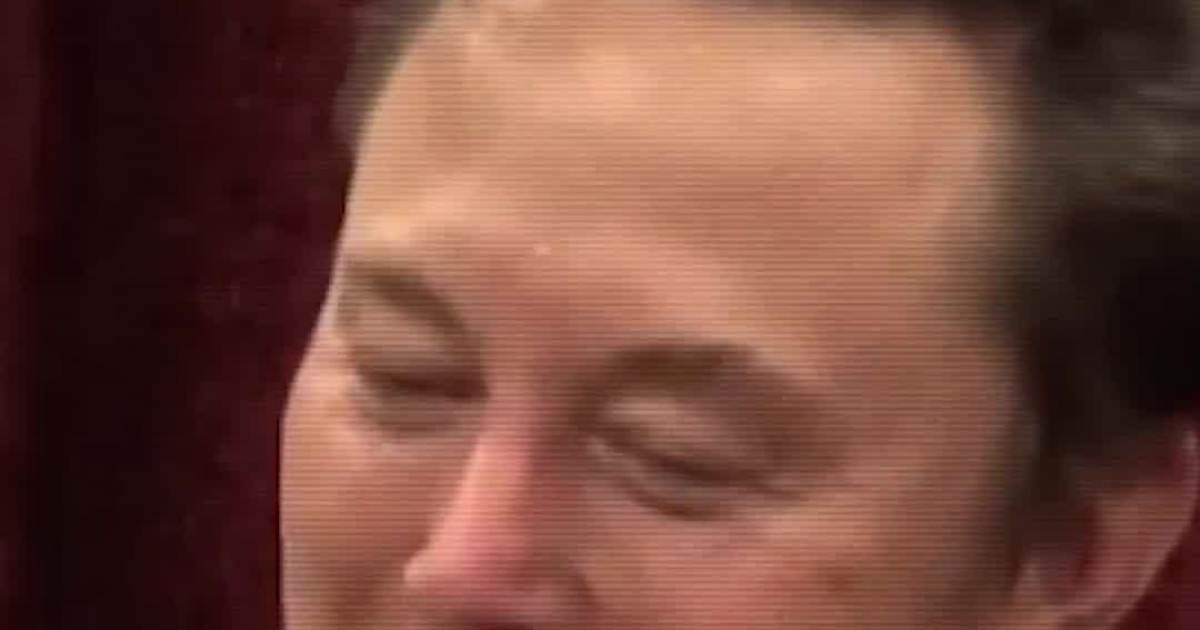 Elon Musk Fires Back at “Disinformation” Critics Over Cultural Messaging