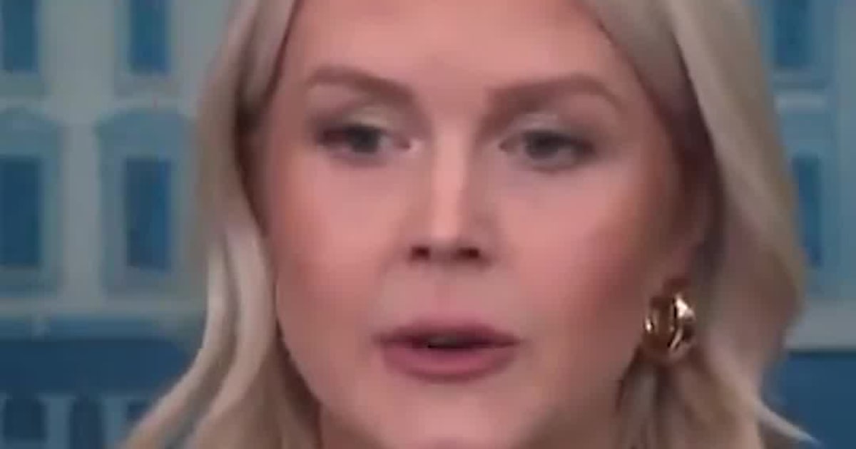 Leavitt Says FEMA, TSA, Coast Guard Workers Could Miss Paychecks Amid Funding Standoff