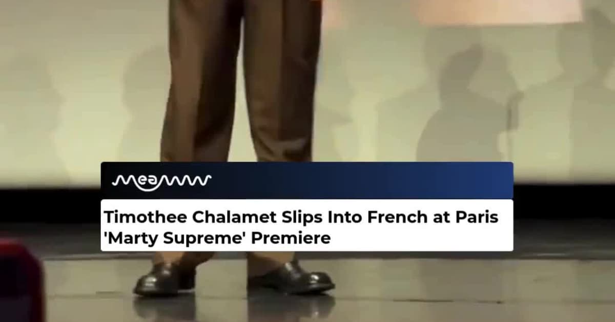Timothee Chalamet Goes French in Paris 'Marty Supreme' Premiere