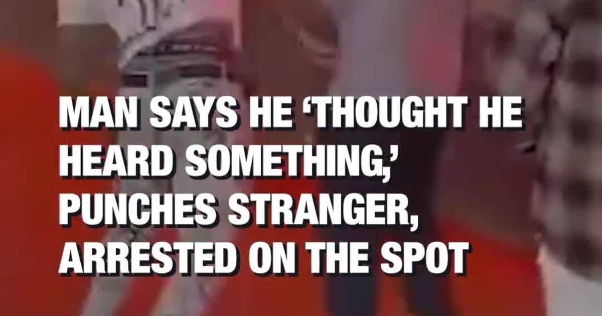 Man Says He ‘Thought He Heard Something,’ Punches Stranger, A**ested on the Spot