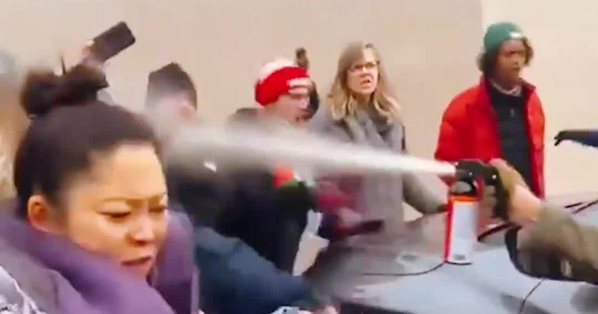 Anti-ICE mobs Pepper-sprayed at Minnesota, FA for Blocking ICE Agents