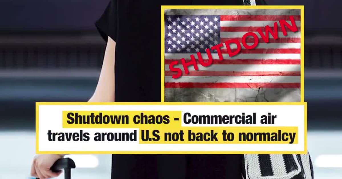 Govt. reopens but delays linger in skies