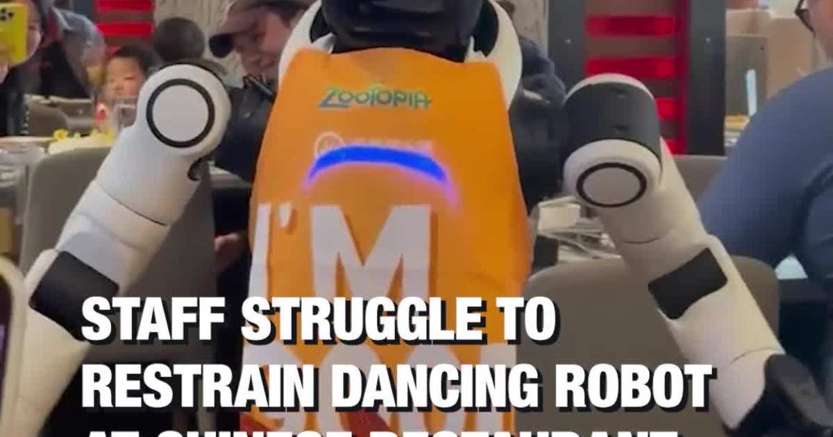 Staff Struggle to Restrain Dancing Robot at Chinese Restaurant