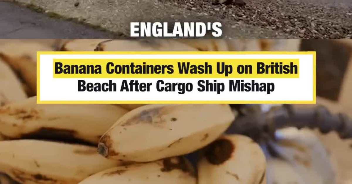Banana Containers Wash Up on British Beach After Cargo Ship Mishap