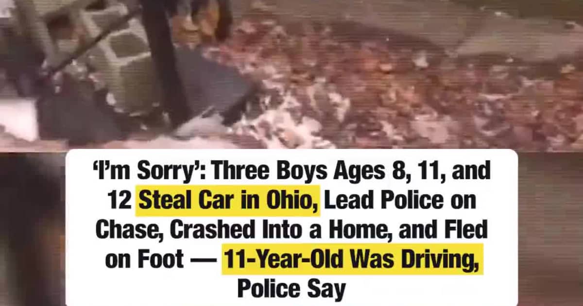 ‘I’m Sorry’: Three Boys Ages 8, 11, and 12 Steal Car in Ohio, Lead Police on Chase, Crashed Into a Home, and Fled on Foot — 11-Year-Old Was Driving, Police Say