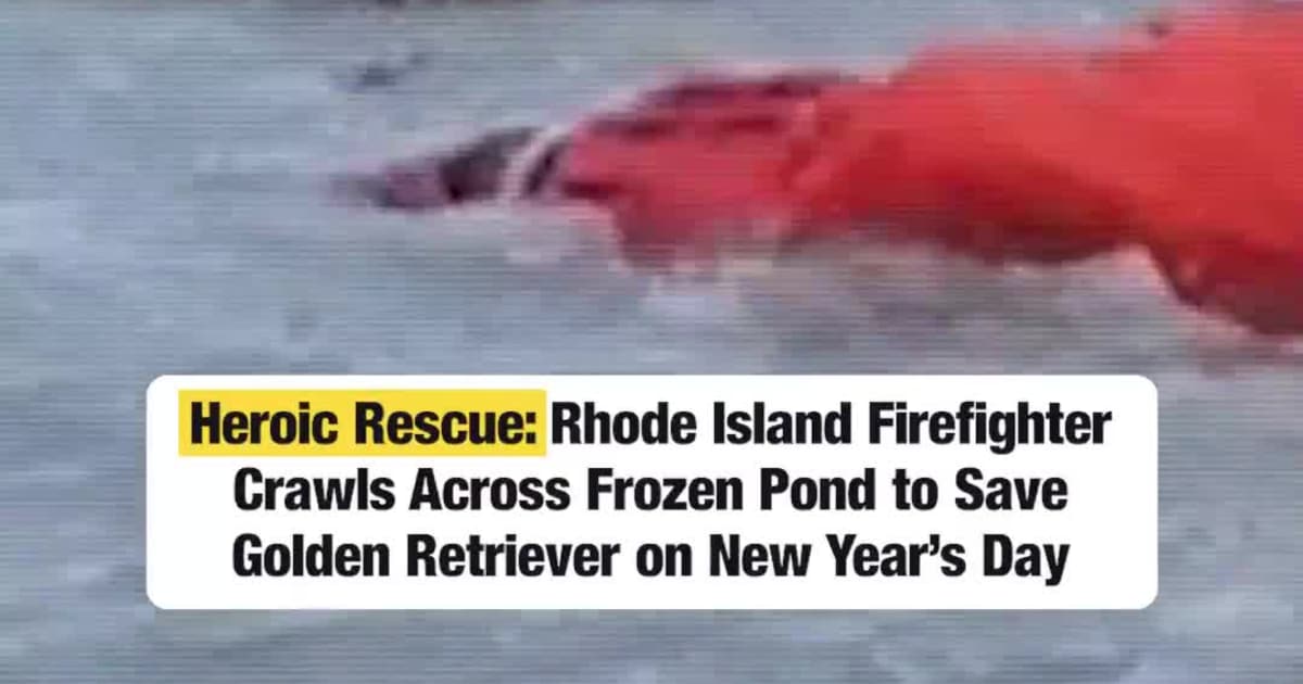 Heroic Rescue: Rhode Island Firefighter Crawls Across Frozen Pond to Save Golden Retriever on New Year’s Day