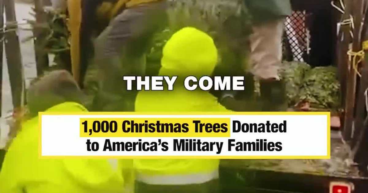 1,000 Christmas Trees Donated to America’s Military Families