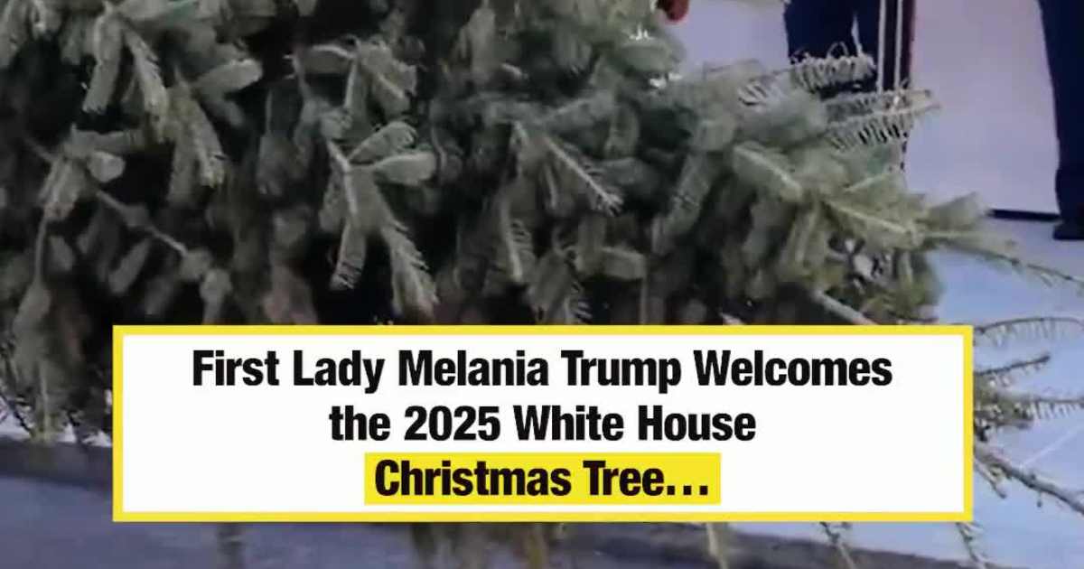 The First Lady welcomes the official White House Christmas Tree!