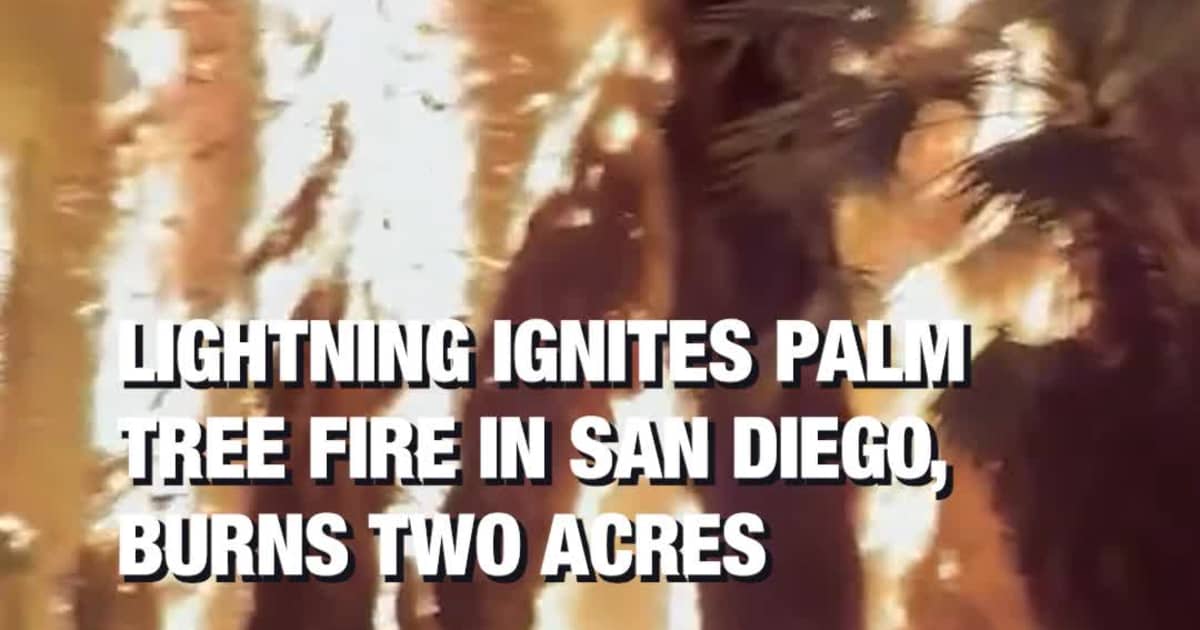 Lightning Ignites Palm Tree Fire in San Diego, Burns Two Acres