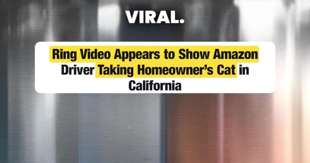 Ring Video Appears to Show Amazon Driver Taking Homeowner’s Cat in California