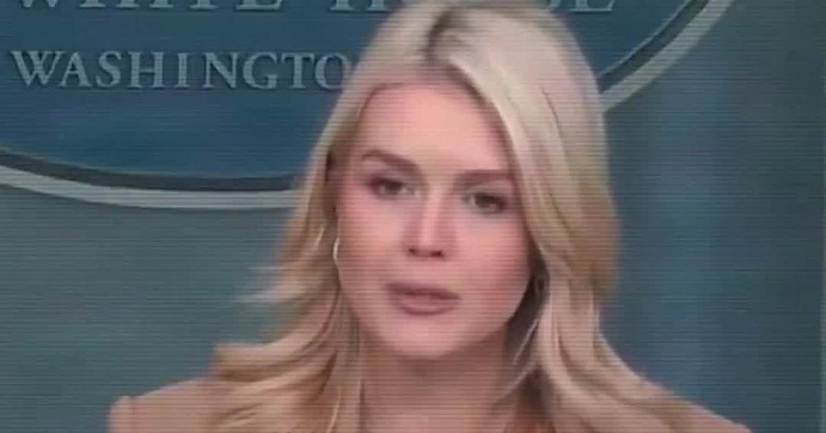 Leavitt Says Minnesota Protests Reflect “What ICE Is Trying to Remove From Communities”