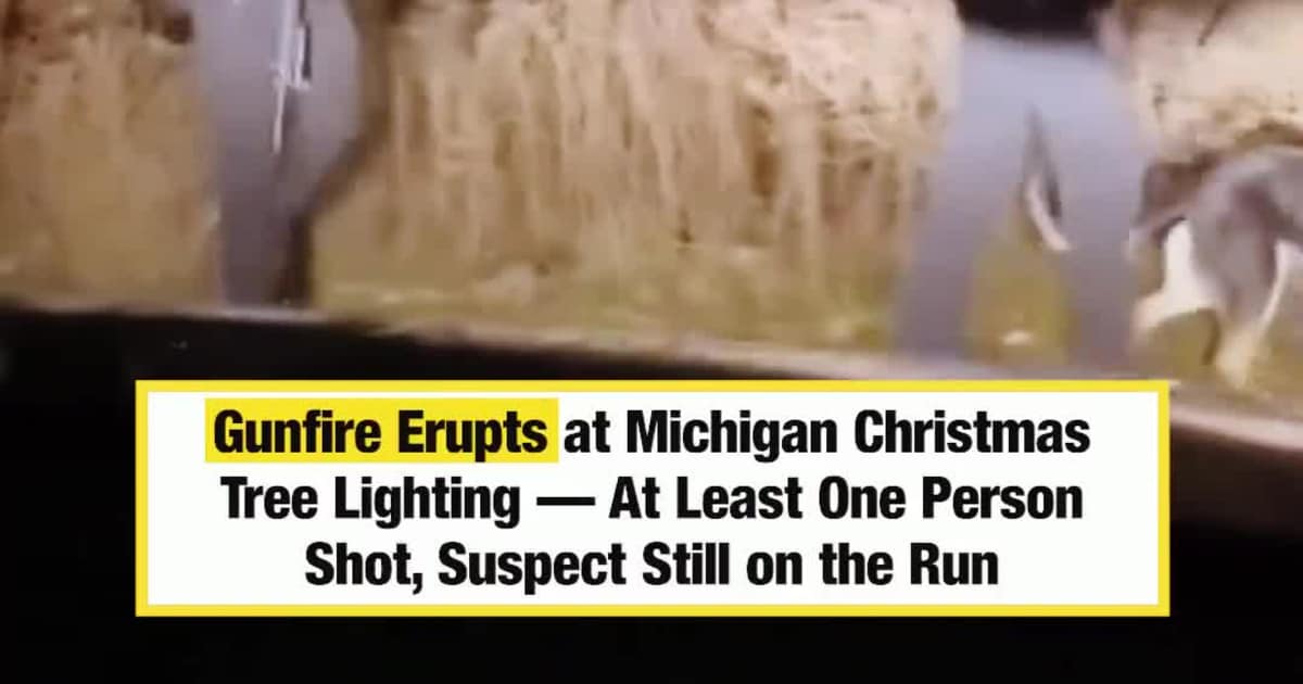Gunfire Erupts at Michigan Christmas Tree Lighting — At Least One Person Shot, Suspect Still on the Run