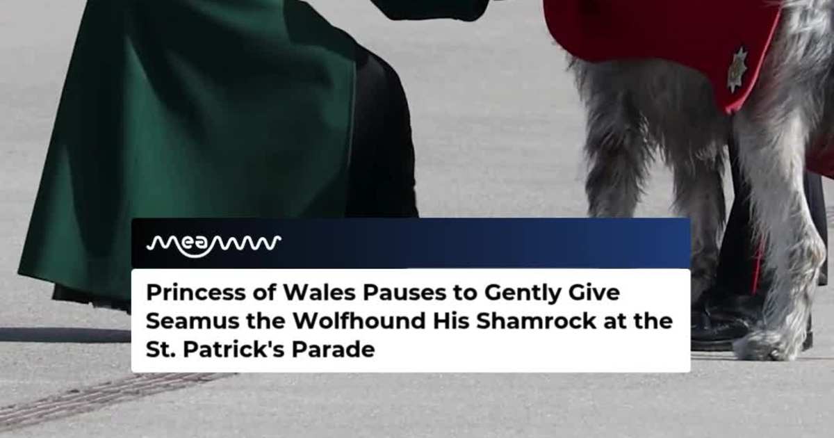 Princess of Wales Pauses for Seamus the Wolfhound During St. Patrick's Day Celebration