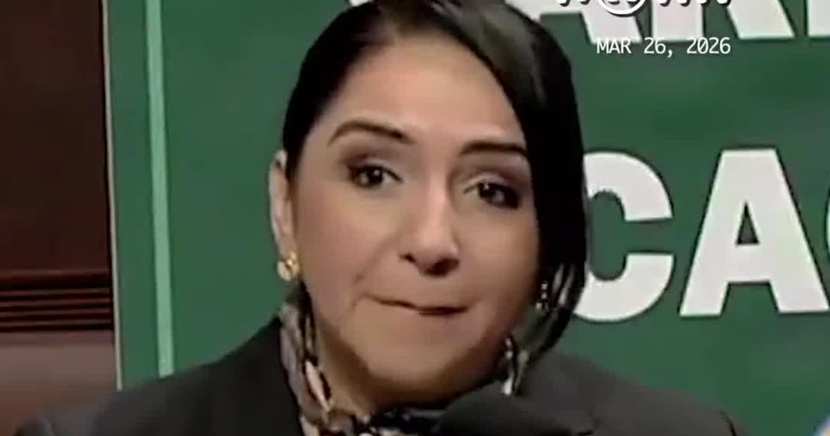 ‘We Will Dismantle DHS’: Democrat Rep. Delia Ramirez Calls to Abolish ICE