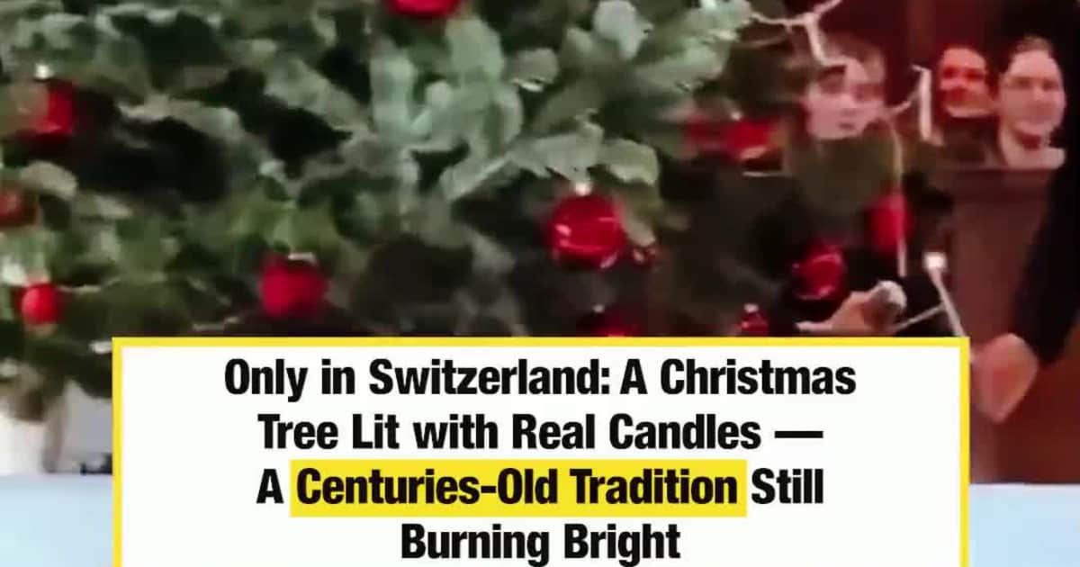 Only in Switzerland: A Christmas Tree Lit with Real Candles — A Centuries-Old Tradition Still Burning Bright