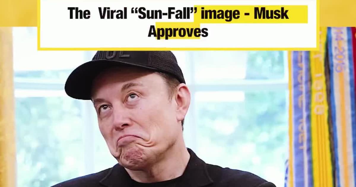 The Viral “Sun-Fall” image - Musk Approves