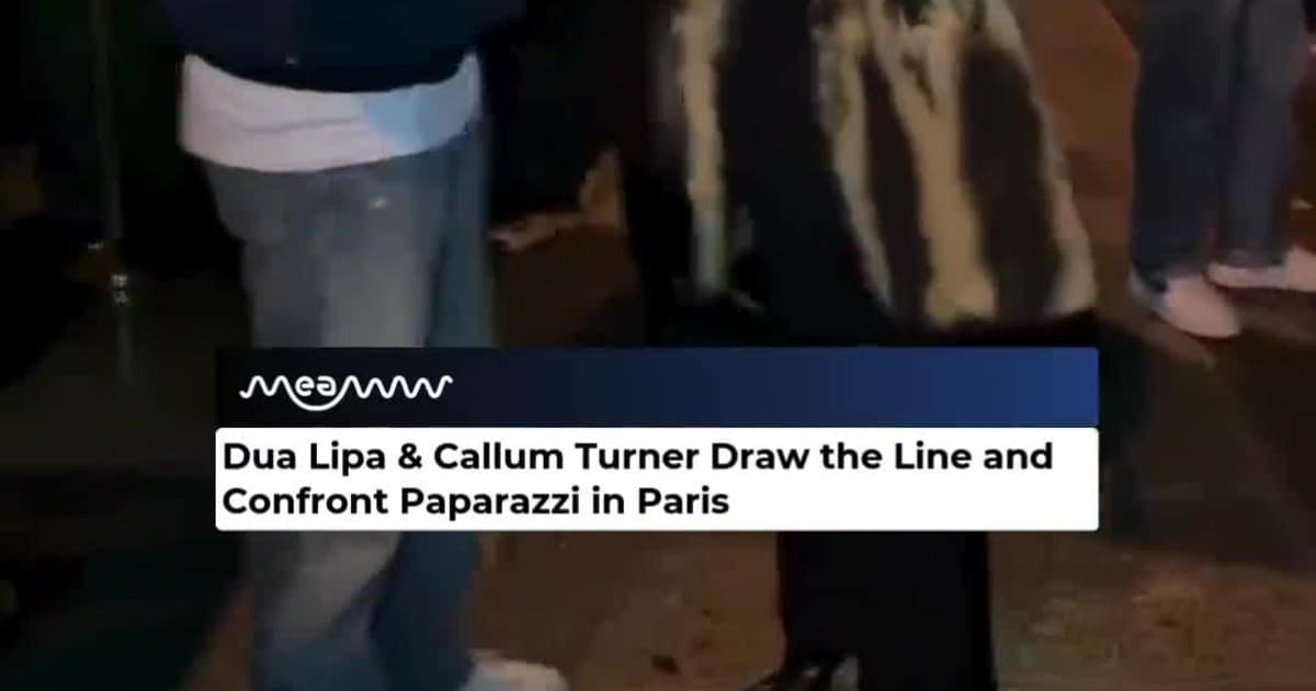 Dua Lipa & Callum Turner Confront Paparazzi in Paris