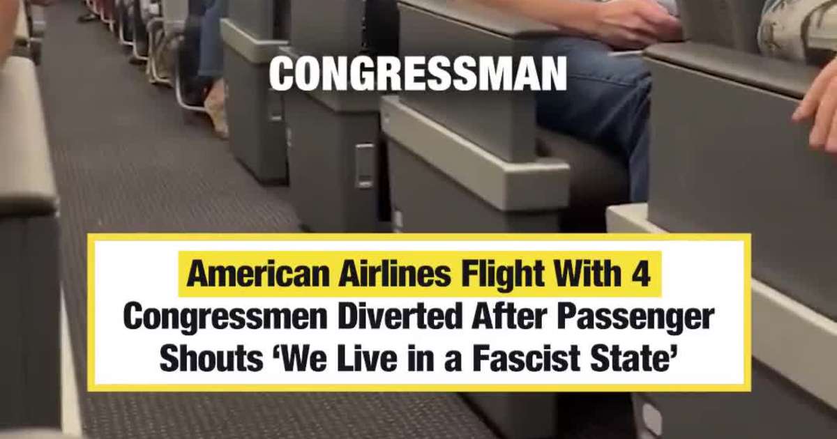 American Airlines Flight With 4 Congressmen Diverted After Passenger Shouts ‘We Live in a Fascist State’