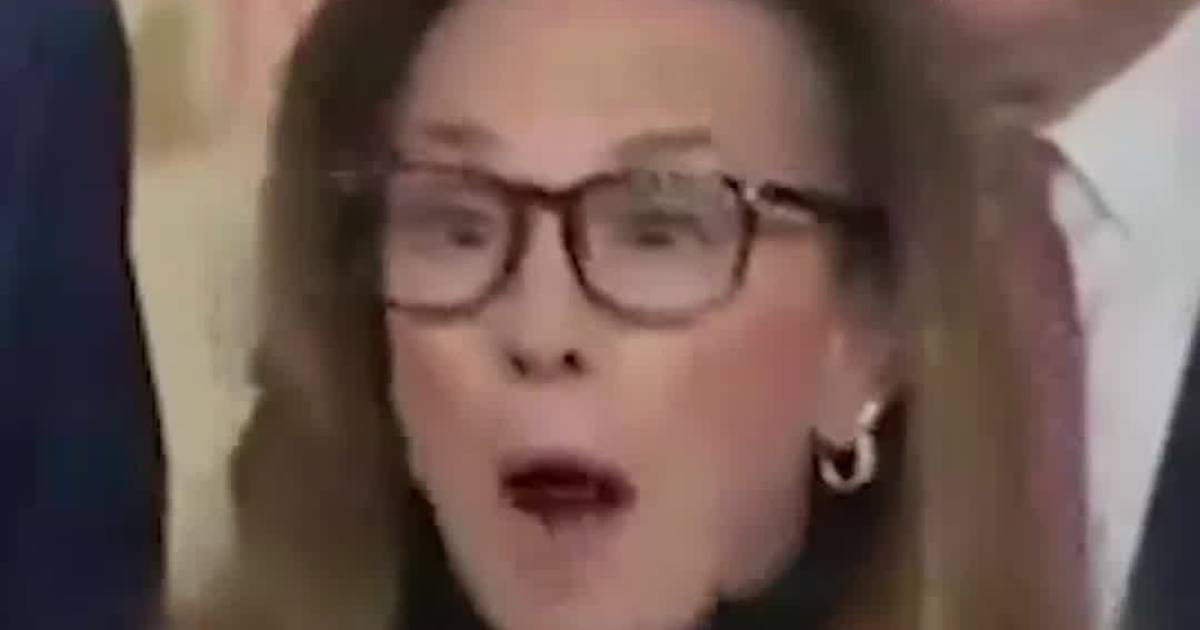 Lisa McClain: “Let’s Celebrate the People Who Are R*ping Your Children!” — GOP Presser Erupts