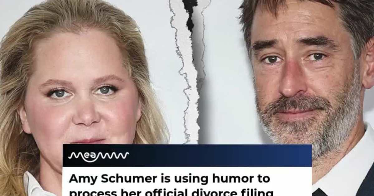 Amy Schumer Trolls Her Own Divorce Filing With Cheeky Post