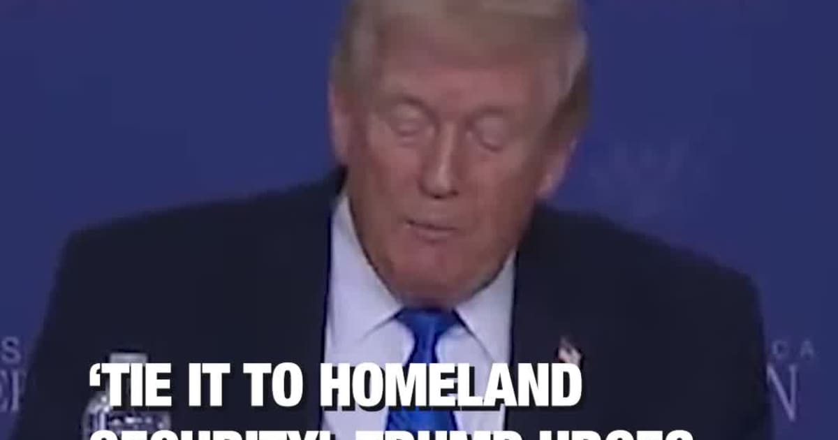 ‘Tie It to Homeland Security’: Trump Urges GOP to Push Voter ID Measures Now