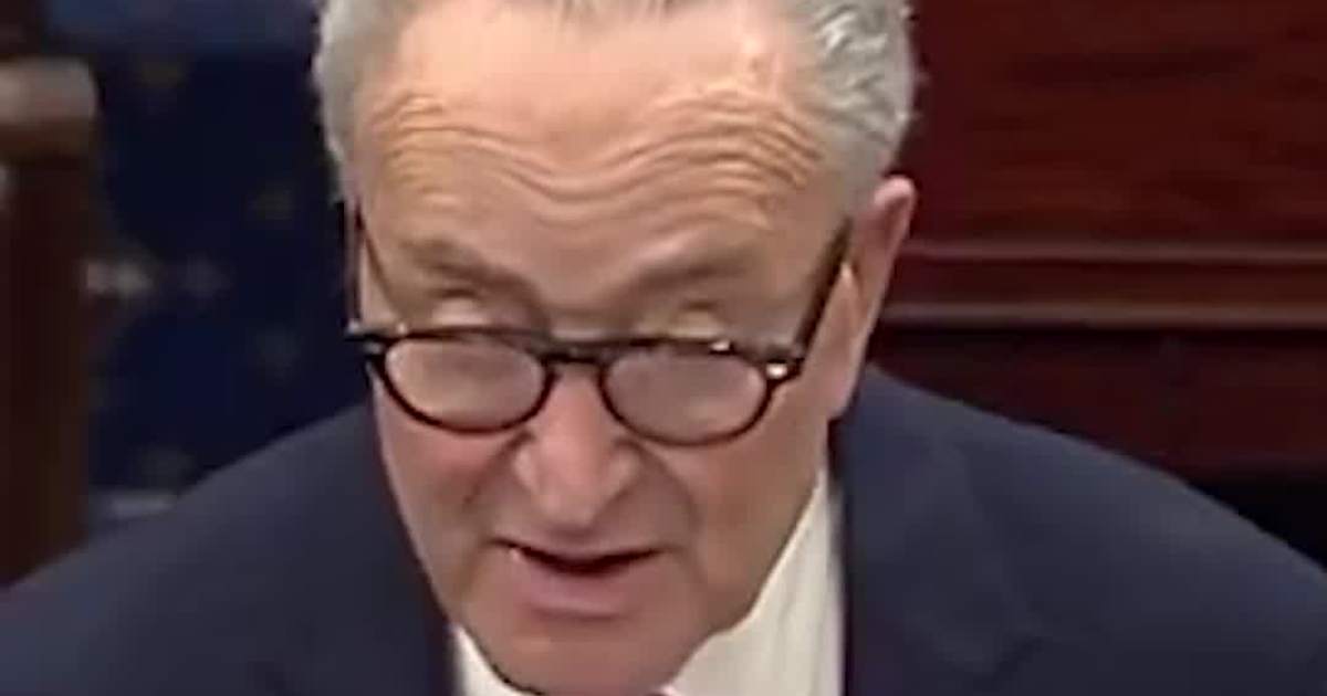 ‘We Want to Pay TSA Workers Today’: Schumer Blames Trump for Canceling Talks