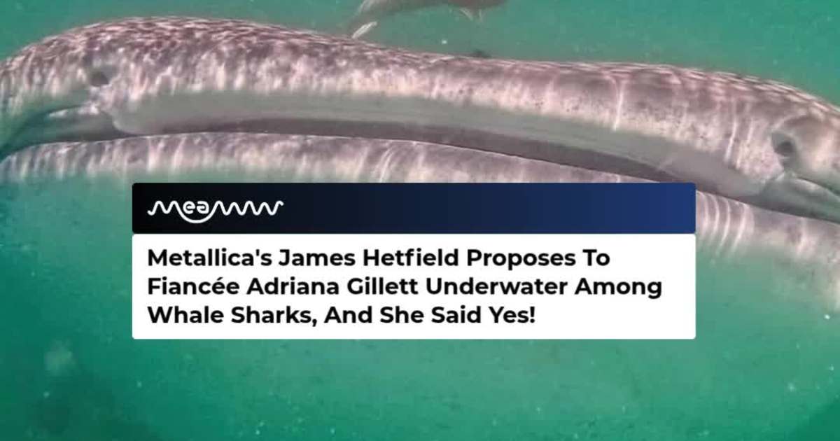 James Hetfield Goes Deep-Sea Romantic, Proposes to Fiancée Adriana Gillett Among Whale Sharks