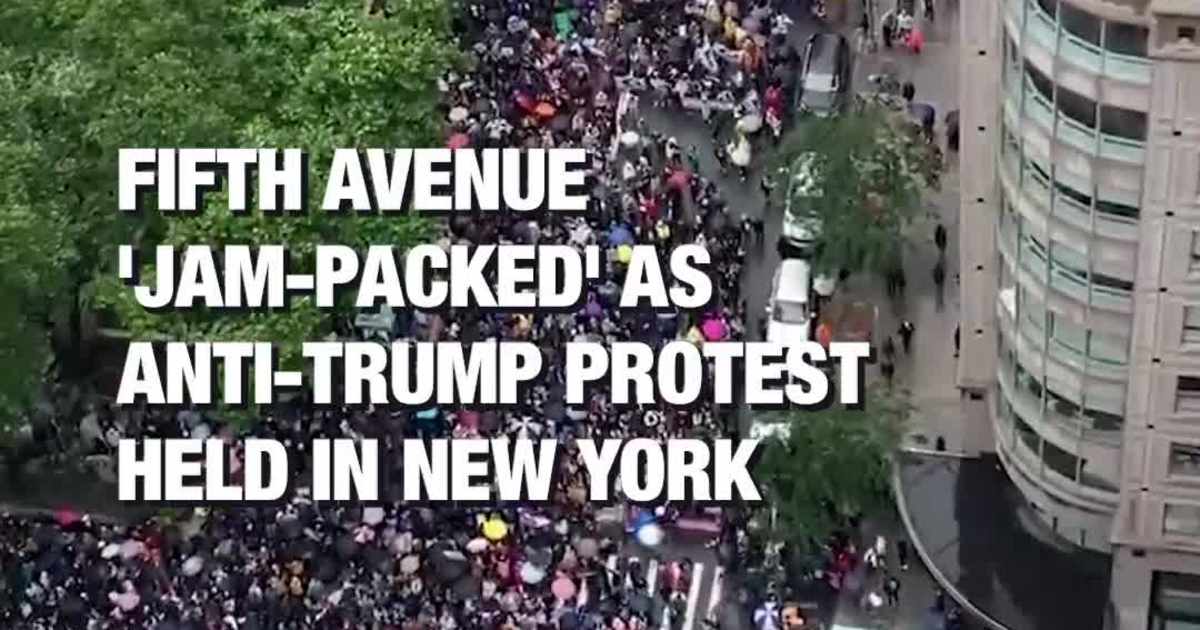 Fifth Avenue 'Jam-Packed' as Anti-Trump Protest Held in New York