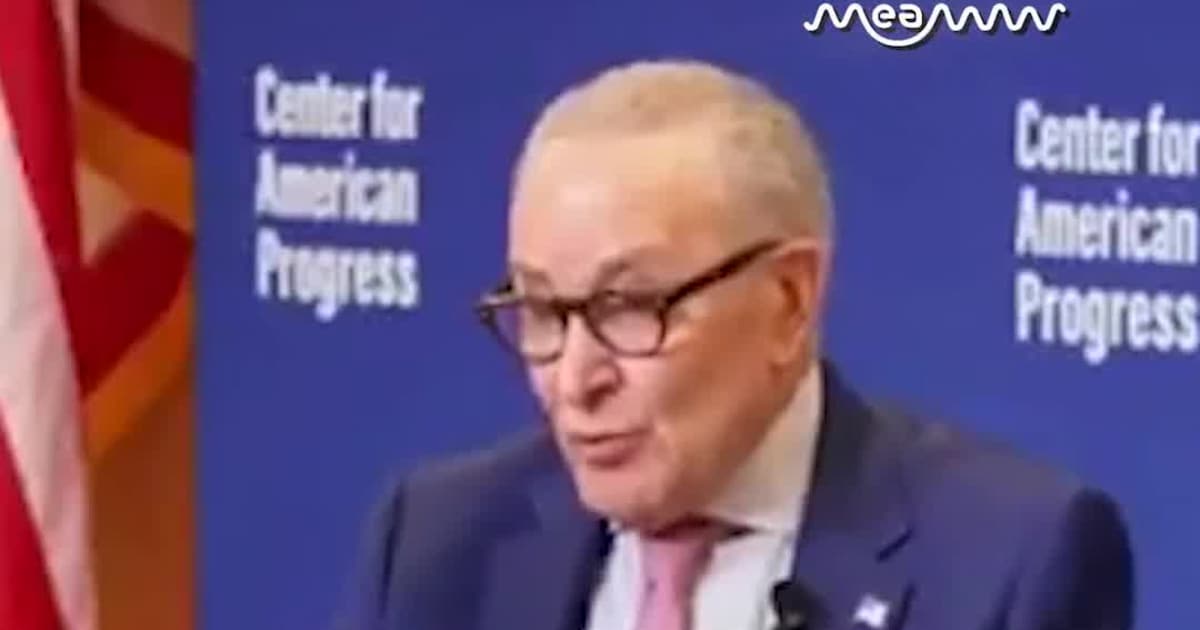 Schumer Vows Democrats Will Reverse All Trump-Era DOGE Cuts If They Win 2026