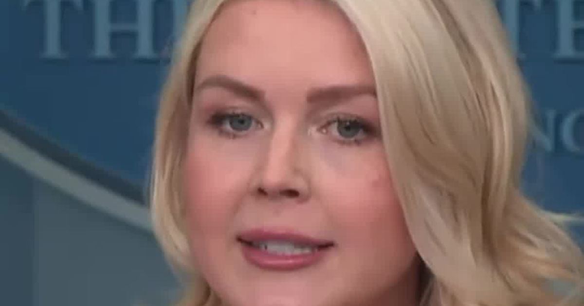 Karoline Warns "Nothing Goes Back To Normal At Airports Until Democrats Do The Right Thing”