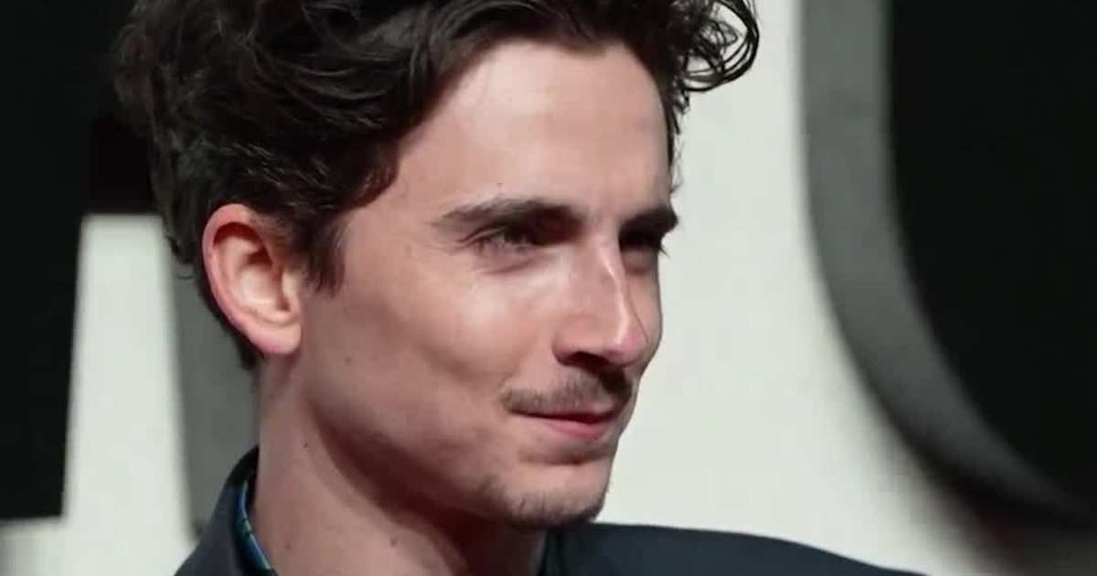 Timothée Chalamet Is Officially the King of the Christmas Box Office