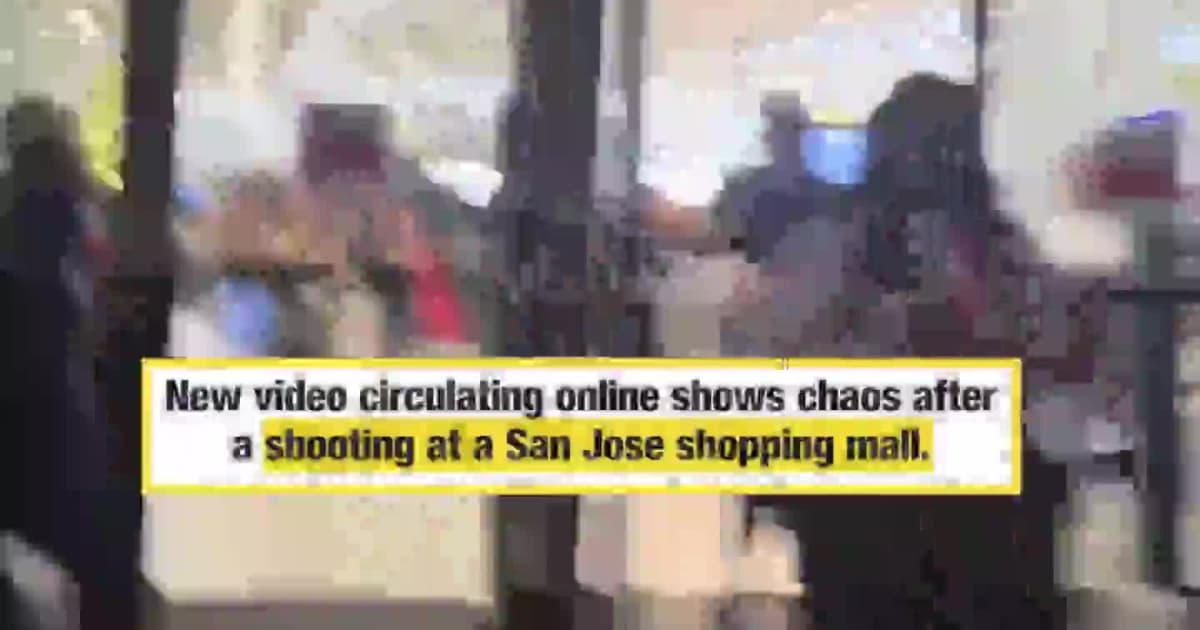 New video circulating online shows chaos after a shooting at a San Jose shopping mall.