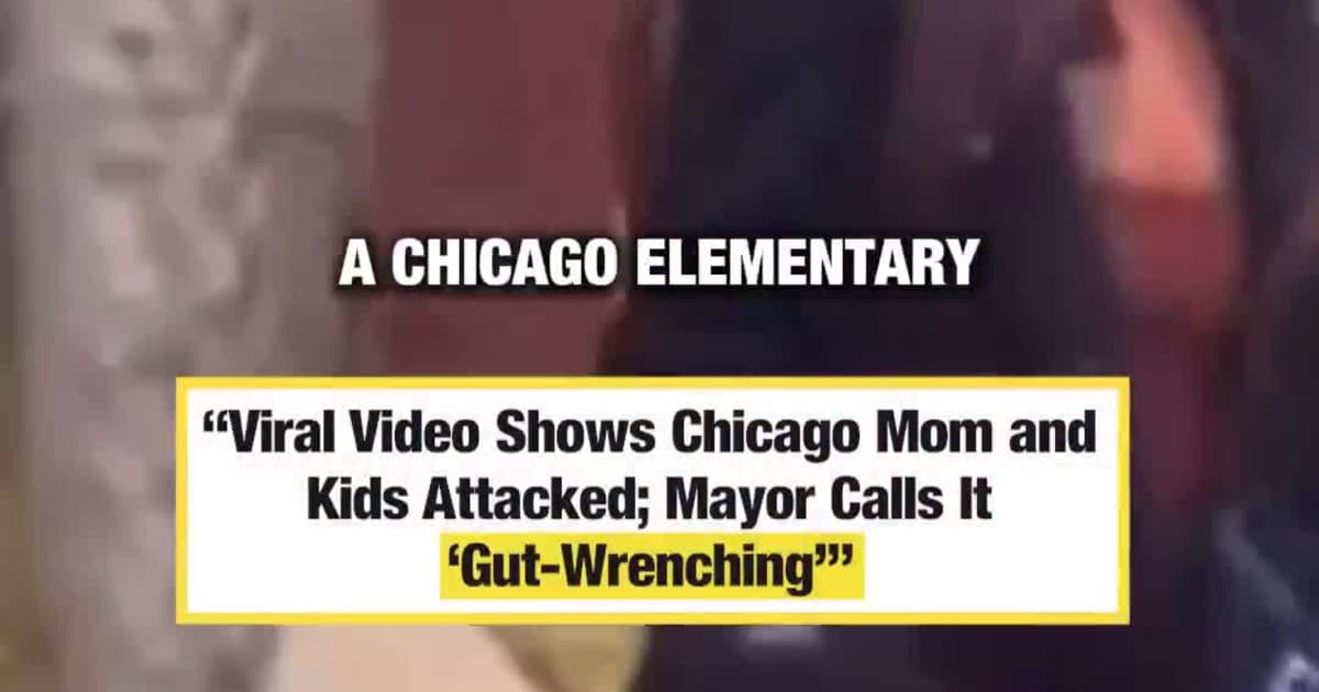 “Viral Video Shows Chicago Mom and Kids Attacked; Mayor Calls It ‘Gut-Wrenching’”
