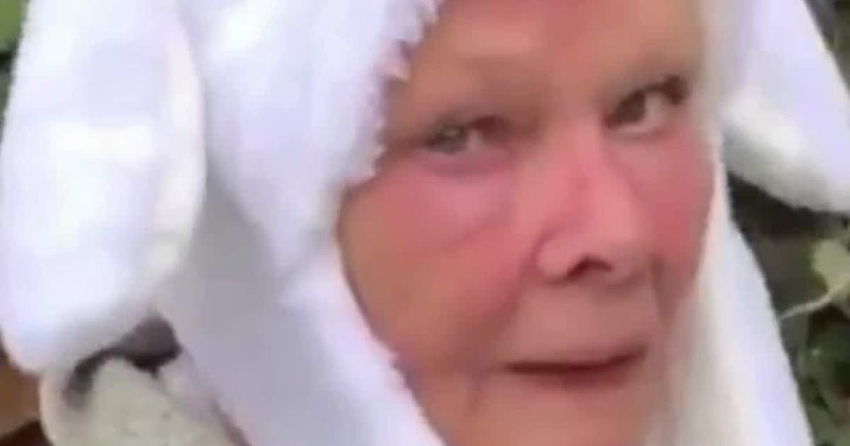 Judi Dench Speaks For Harvey Weinstein Despite R*pe Convictions