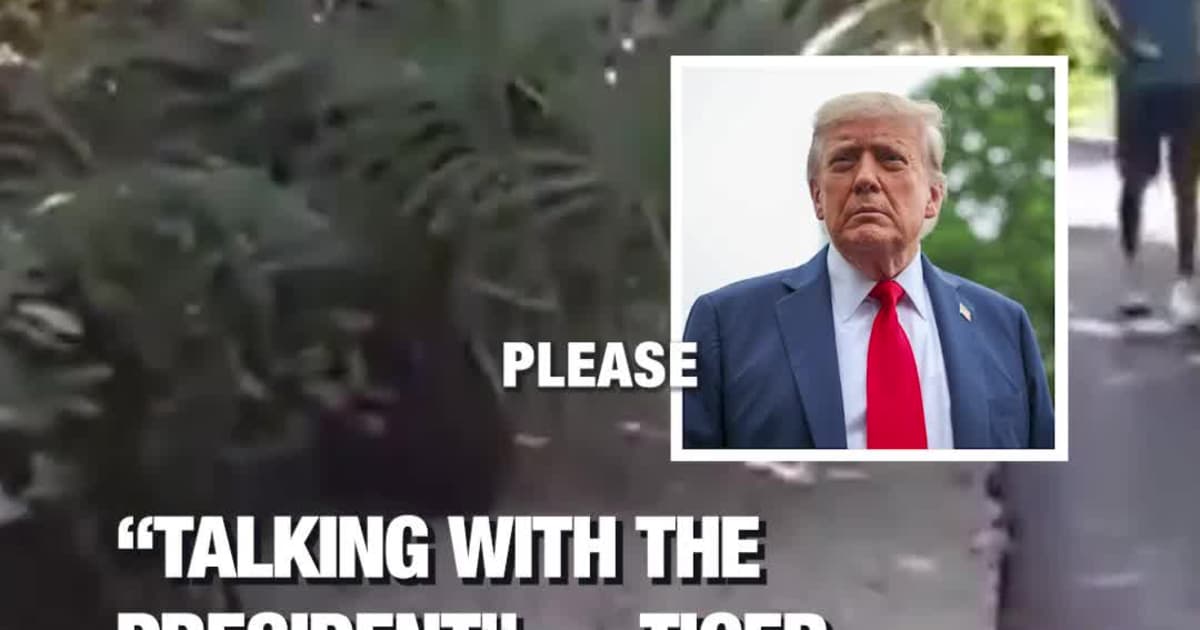 “Talking With the President” — Tiger Woods’ Bodycam Remark Surfaces After DUI Arrest or “Talking With the President” — Tiger Woods’ Remark Caught on Bodycam After Florida Crash