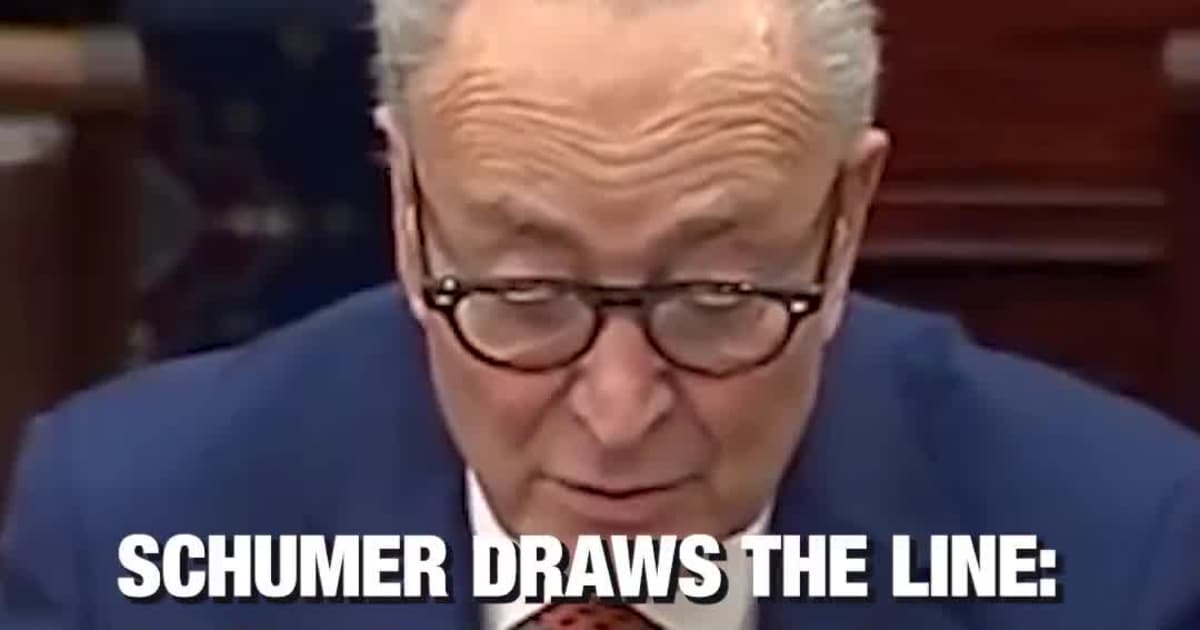 Schumer Draws the Line: Says He’ll Block All Funding for ICE Until Agency Is “Overhauled”