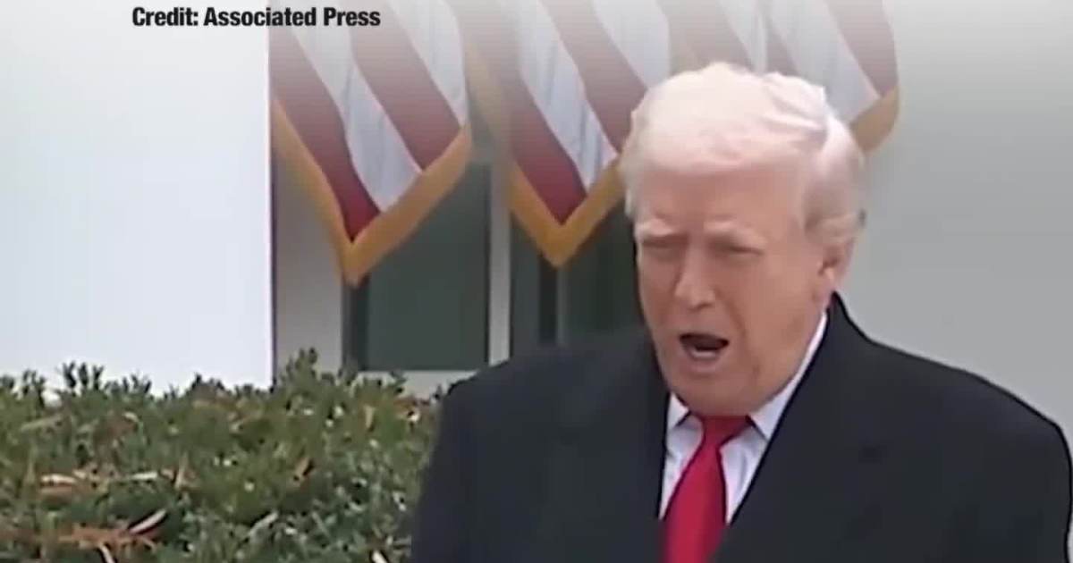 Trump and Melania Step Out for Thanksgiving Turkey Pardon